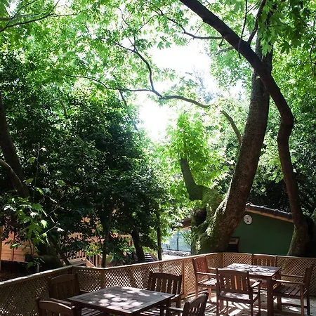 Ekinoks - Adults Only B&B Çıralı